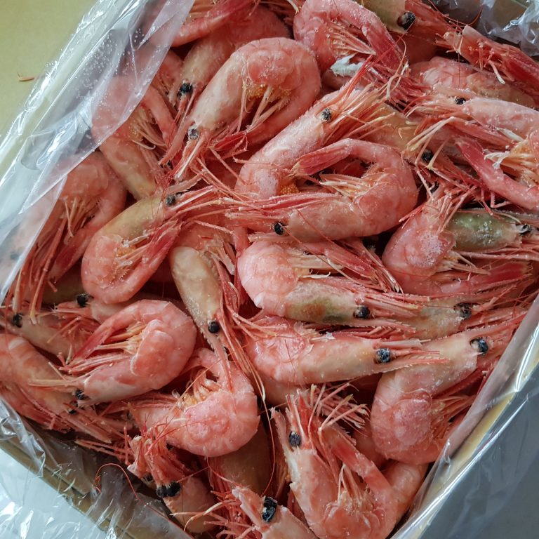 Coldwater Prawns (Pandalus Borealis)