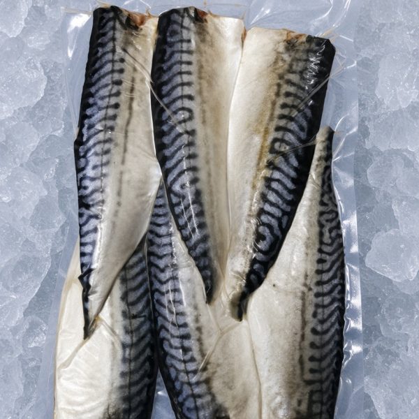 Norwegian saba mackerel fillets vacuum packed on ice